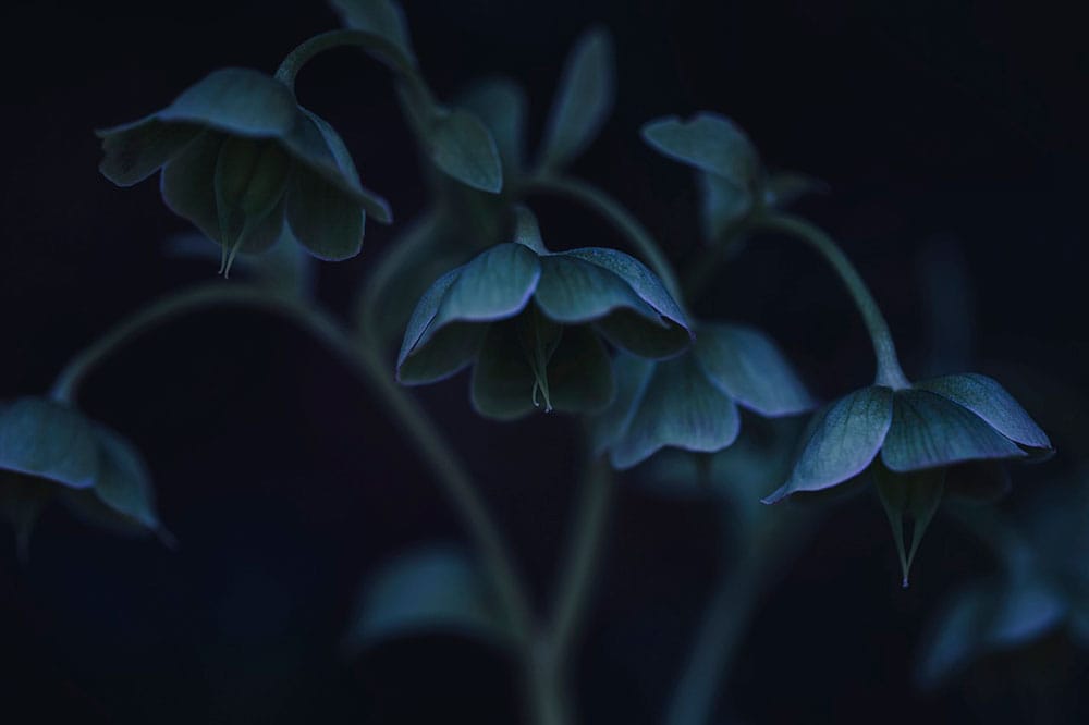 Self-Care Ideas for a Well-Nourished Mind, Body, and Soul